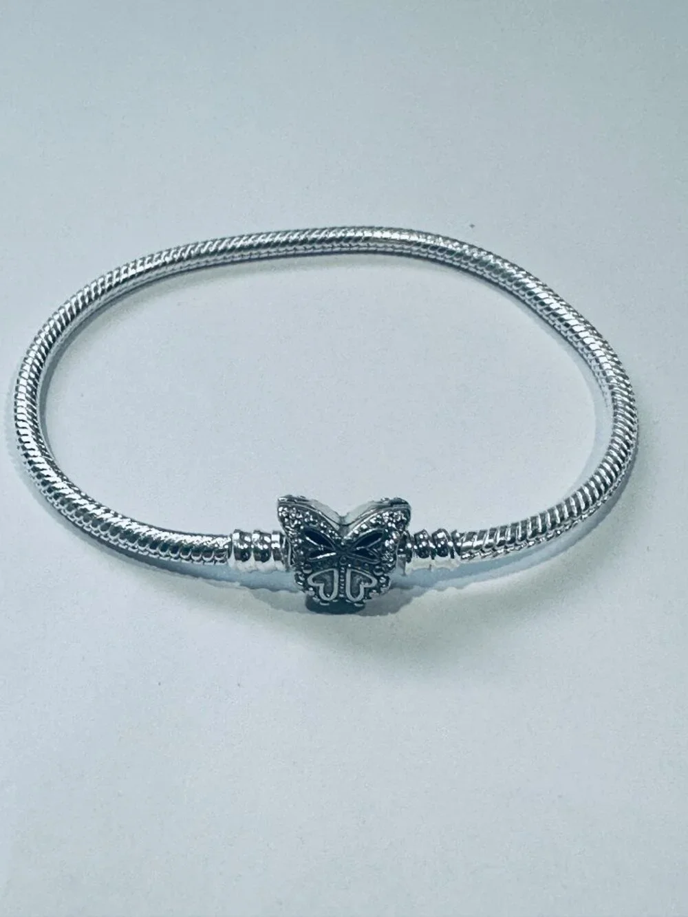Pandora Style Snake Chain Bracelet